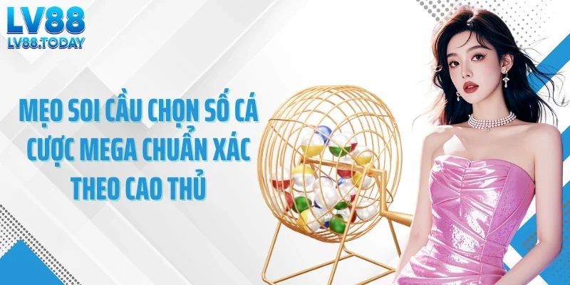 Mẹo soi cầu chọn số cá cược Mega 6/45 chuẩn xác