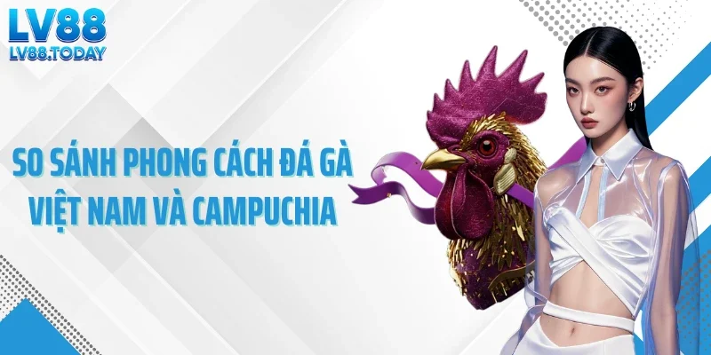 So sánh phong cách đá gà Việt Nam và Campuchia